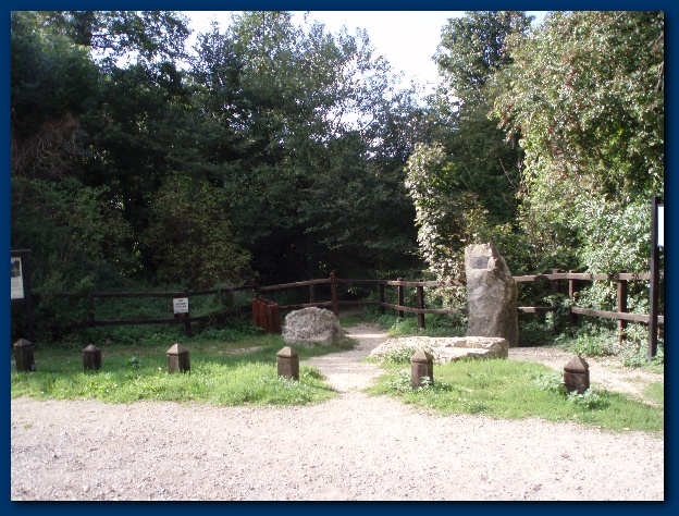 600x449 pixels (186K)